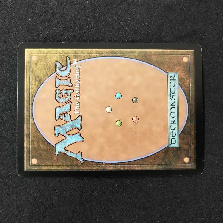 ★Acorn Harvest 1枚