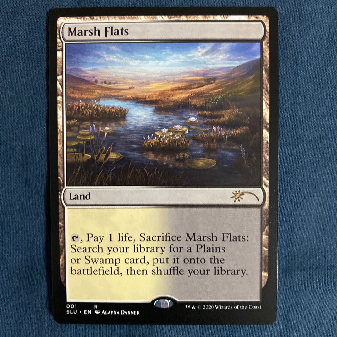 湿地の干潟（英語）SLU