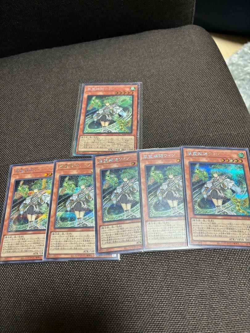 Wynn the Wind Channeler Collector's Rare JP019