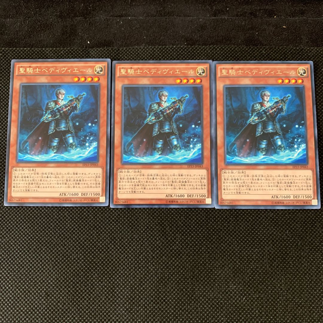 聖騎士ベディヴィエール R