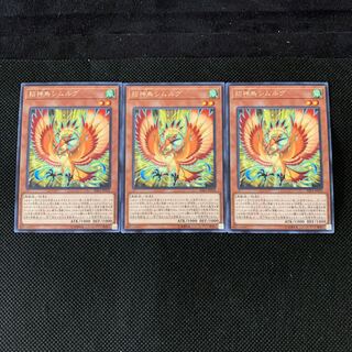 招神鳥シムルグ R