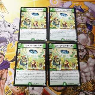 コクーン・シャナバガン　4枚