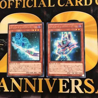 【即日発送可能】マジシャンズ ロッド・ローブ セット