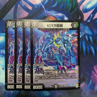 ビバラ龍樹　4枚