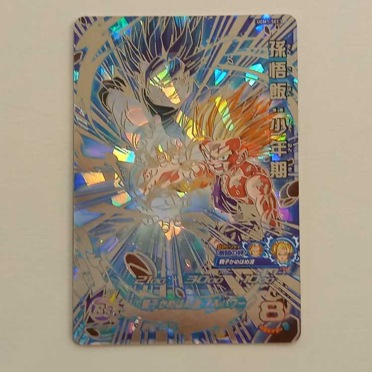 Son Gohan: Boyhood SEC UGM1-SEC3 Management 01