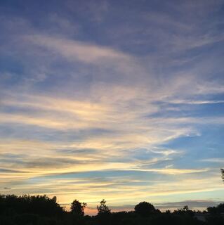 あいりす様専用