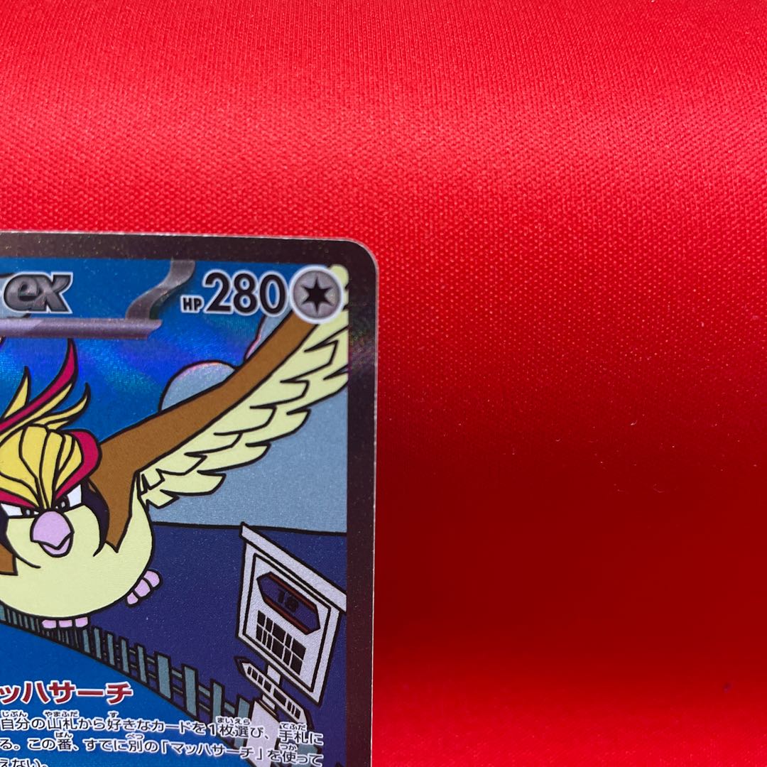 Pidgeotex SAR 136/108