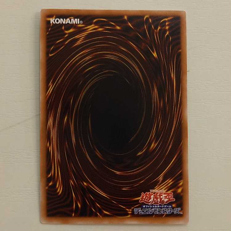 Heavymetalfoes Electrumite QCSE, 25th Sikh QCCU-JP190 Management 01