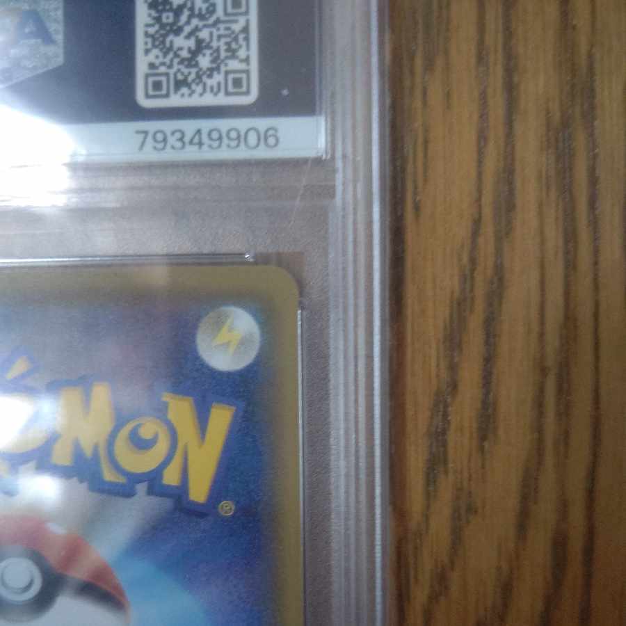 [PSA10] ZeraoraV CSR 224/184