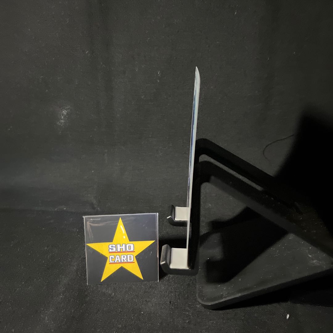 Farfetch'd (Master Ball pattern/mirror) C 083/165 Wartortle AR 171/165