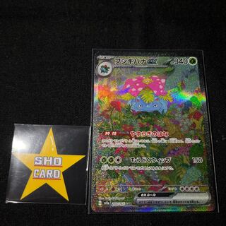 Venusaurex SAR 200/165