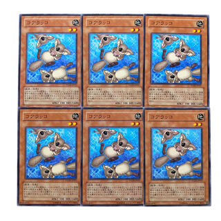 2797【遊戯王】コアラッコ｟モンスター｠6枚セット