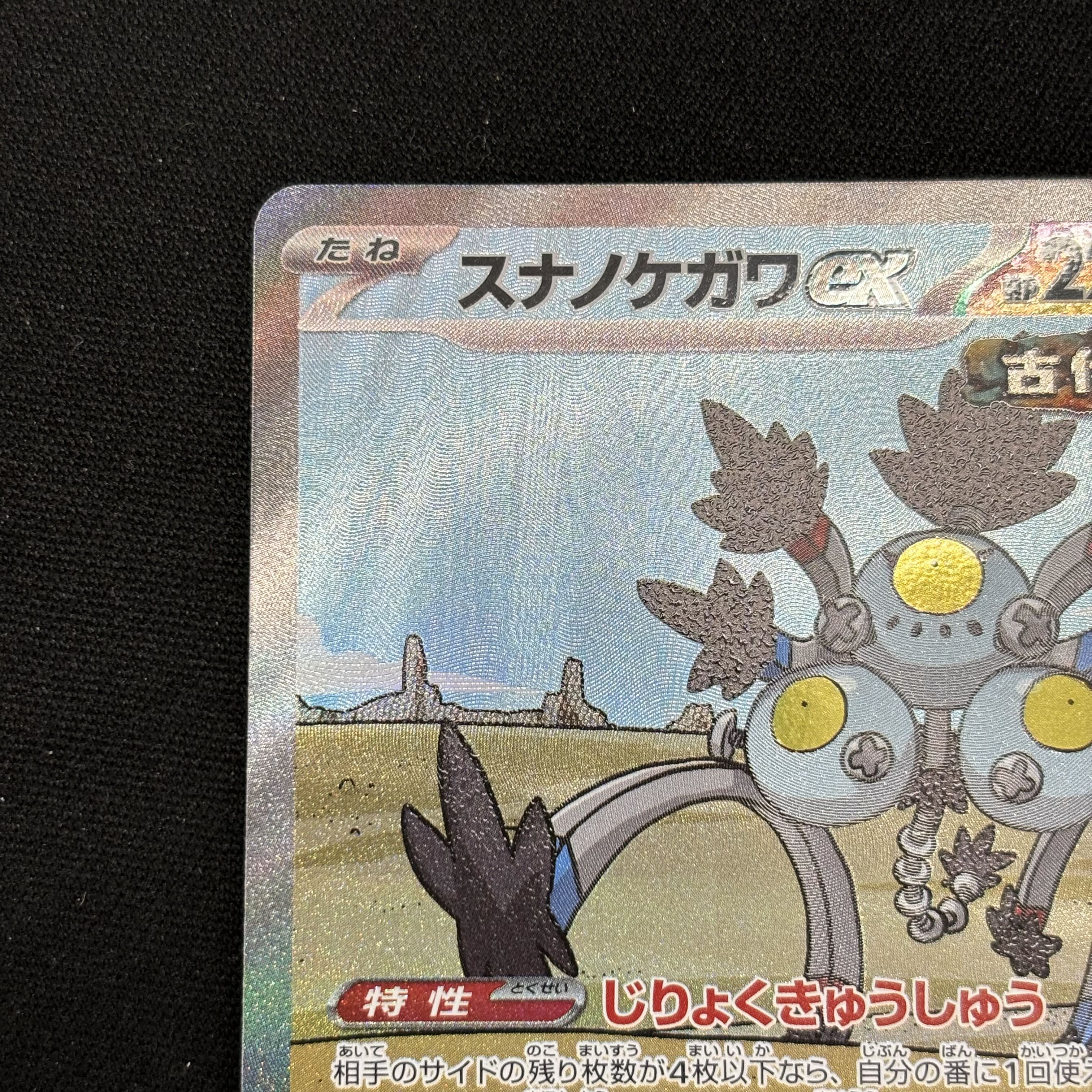 Sunanokegawa ex SAR 089/066