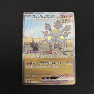 スナノケガワex SAR 089/066