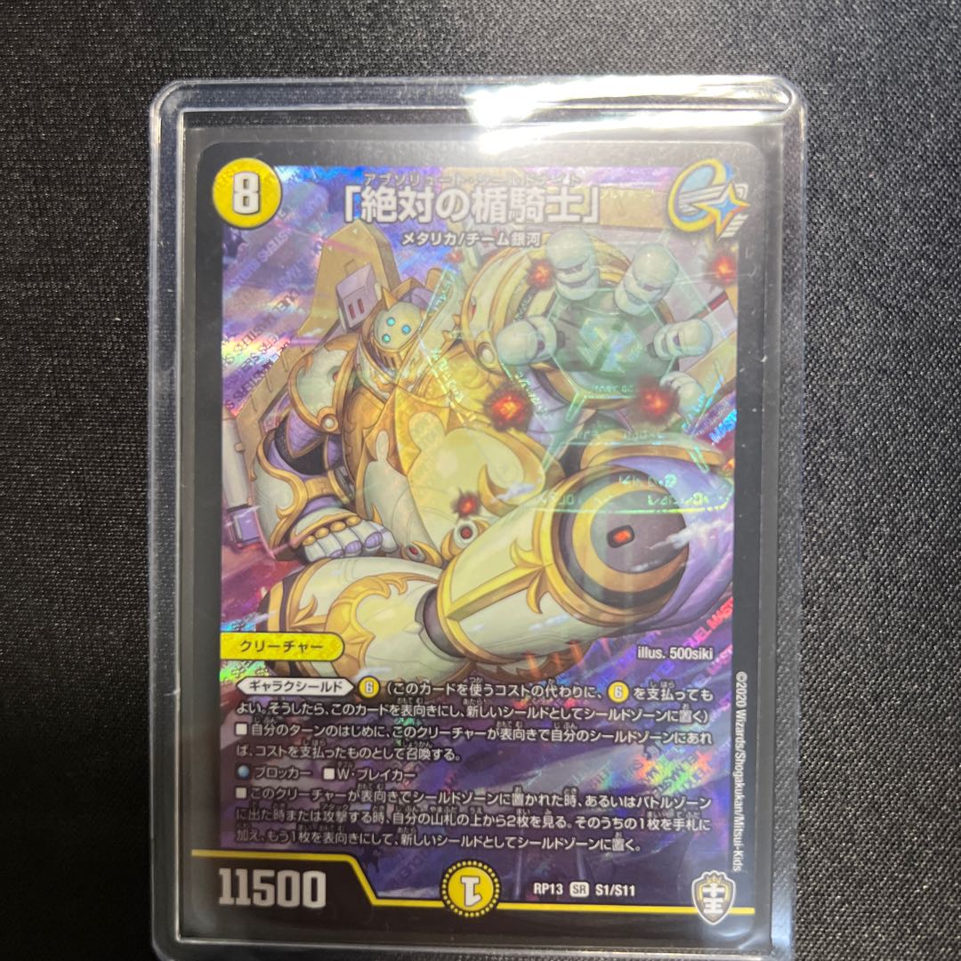 Absolute Shield Knight