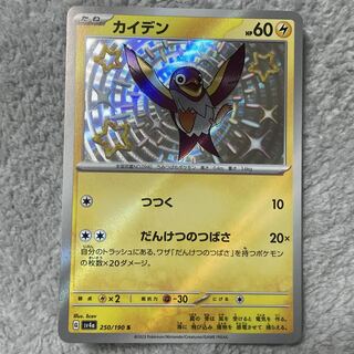 Kaiden S 250/190 1枚