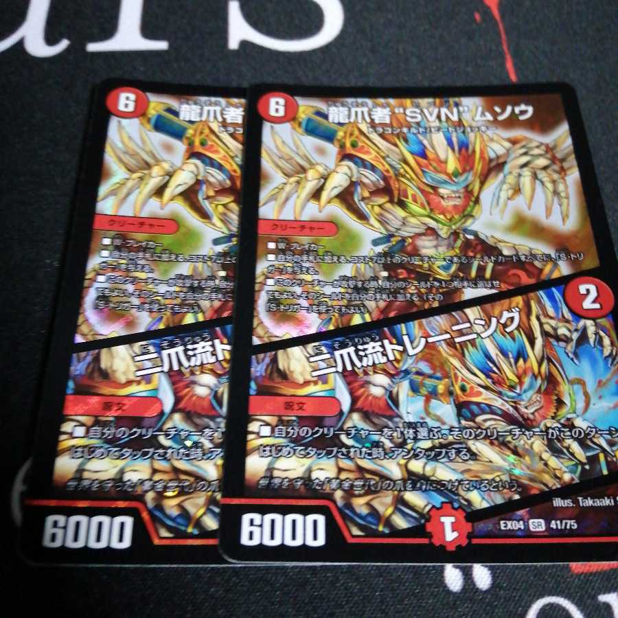 龍爪者“SVN”ムソウ|二爪流トレーニング 2枚