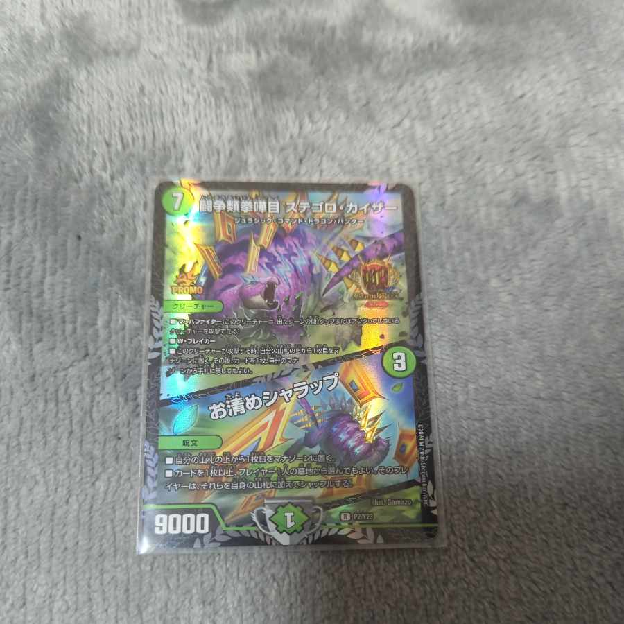 闘争類拳嘩目 ステゴロ・カイザー｜お清めシャラップ