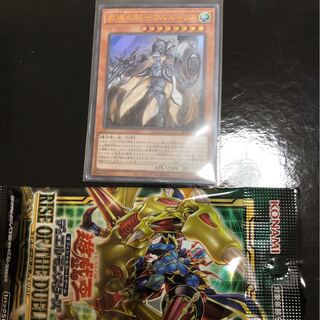 教導の騎士フルルドリス UR