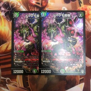 ドマンモ龍樹 SR 2枚