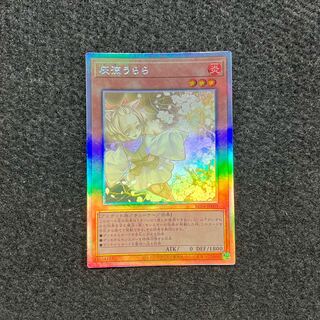 Ash Blossom & Joyous Spring RC04-JP009