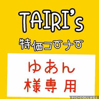 【ゆあん様専用】探検家の先導　ビワ　サバイブギプス　ジーランス