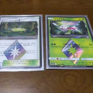 ライフフォレスト◇ シェイミ◇