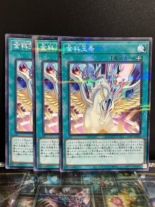 Yu-Gi-Oh Studio 10234 Kinkeijo Parallel Normal 23PP-JP004