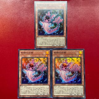 Yu-Gi-Oh Snake-Eyed Fire Rin [PHNI] Super Set of 3