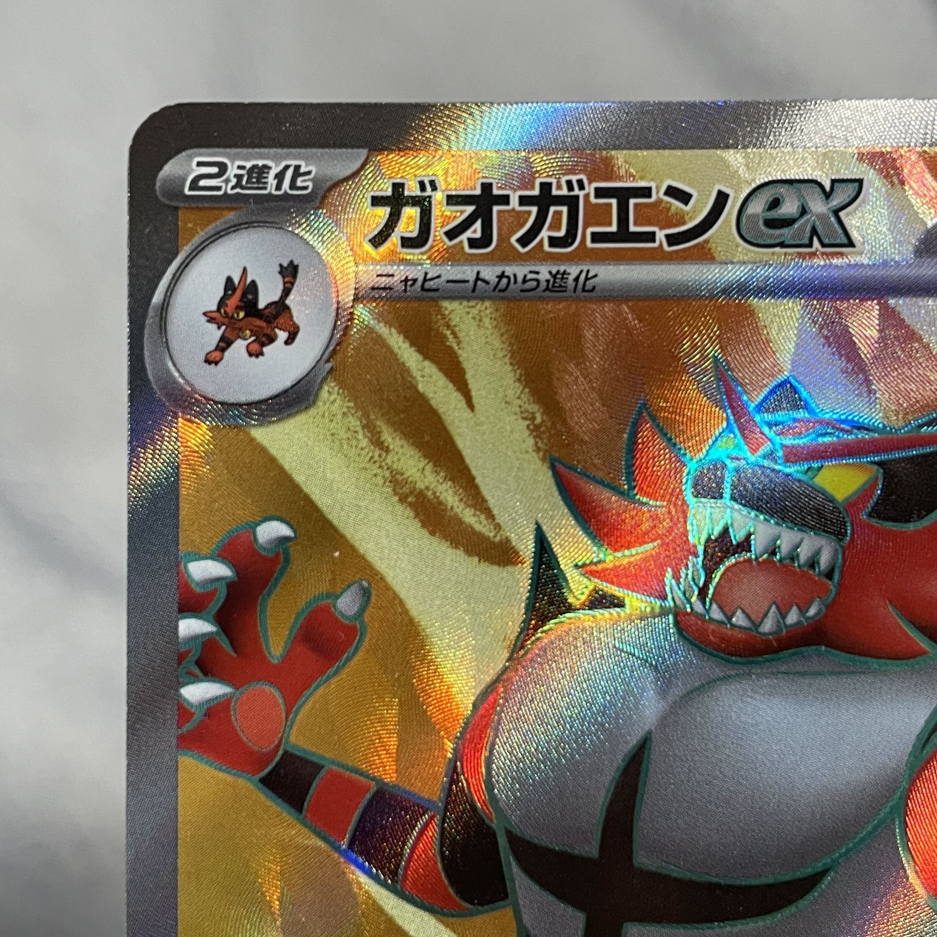 Incineroarex SR 085/071