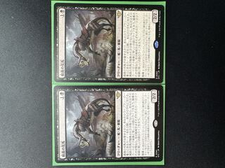 【MTG】腐食の荒馬 R 082 2枚セット【OTJ】