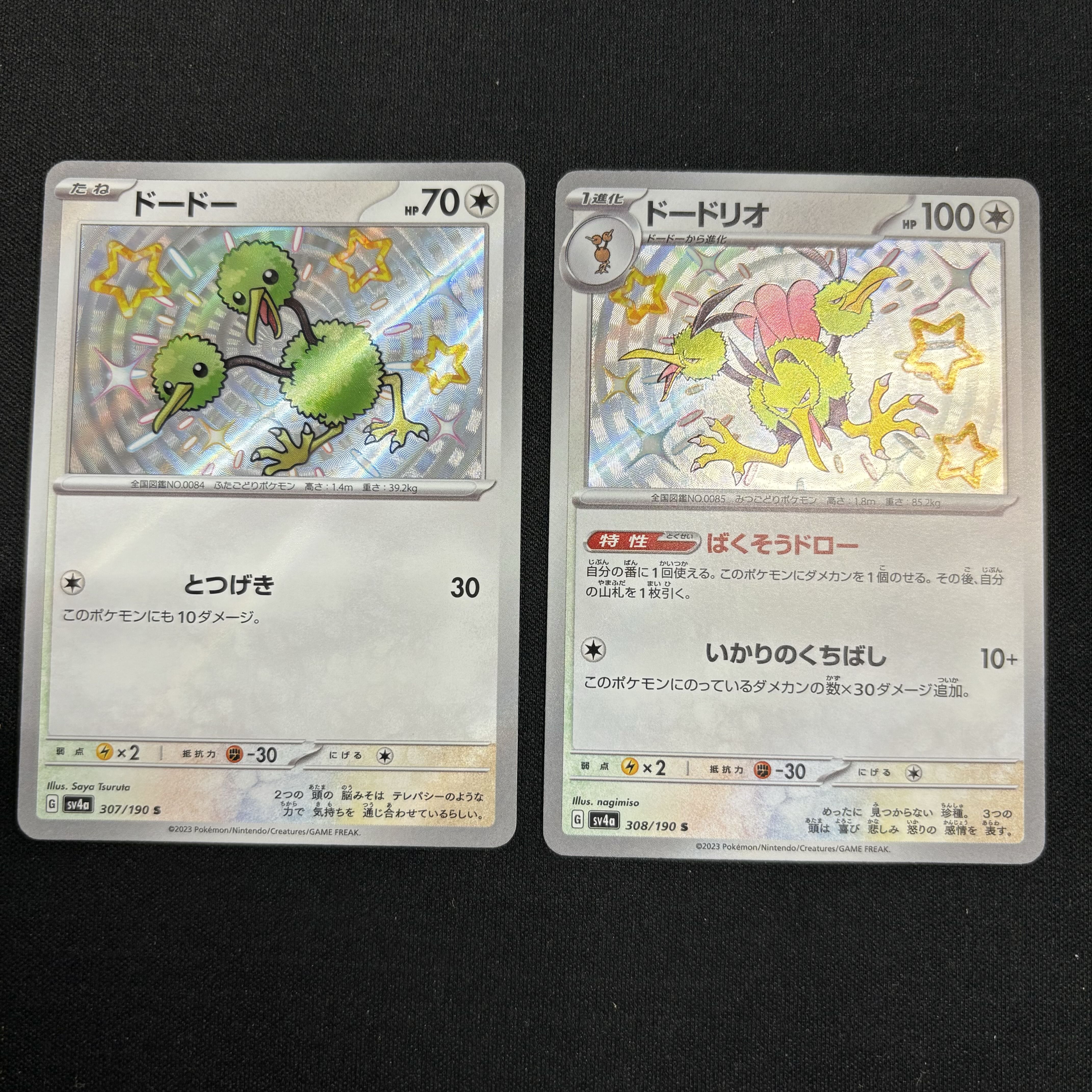 Dodrio S 308/190 Doduo S 307/190