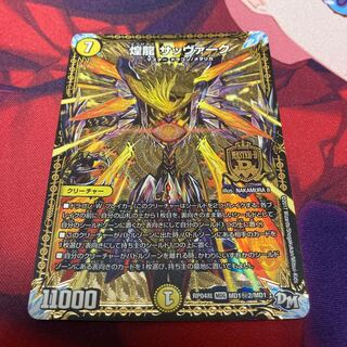 煌龍 サッヴァーク