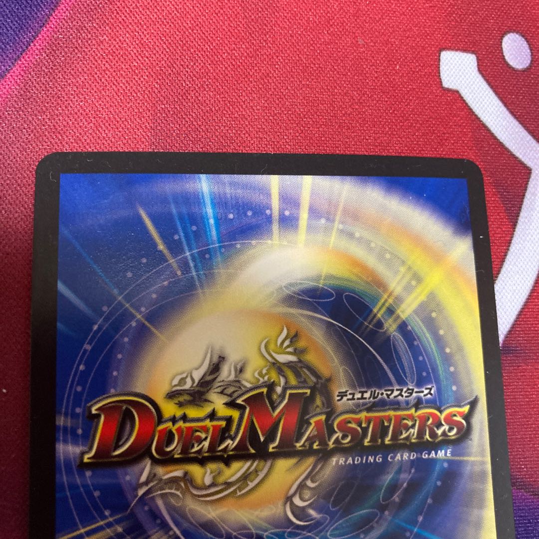 煌龍 サッヴァーク