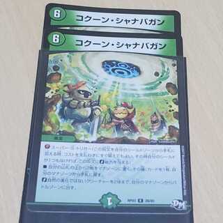 コクーン・シャナバガン