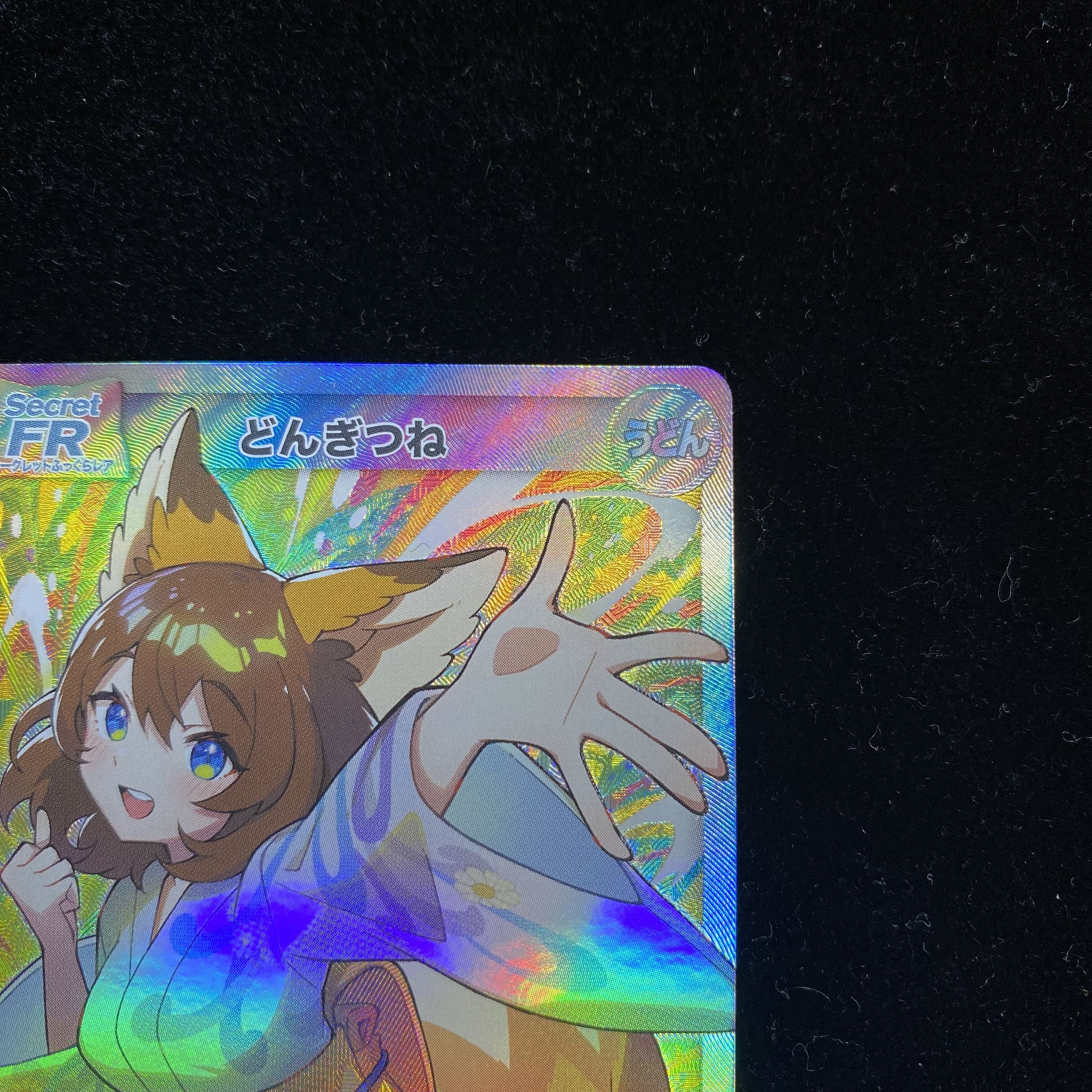 どんぎつねSecretFR