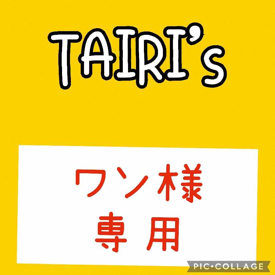 1/3【ワン様専用】大地の器