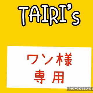 3/3【ワン様専用】大地の器