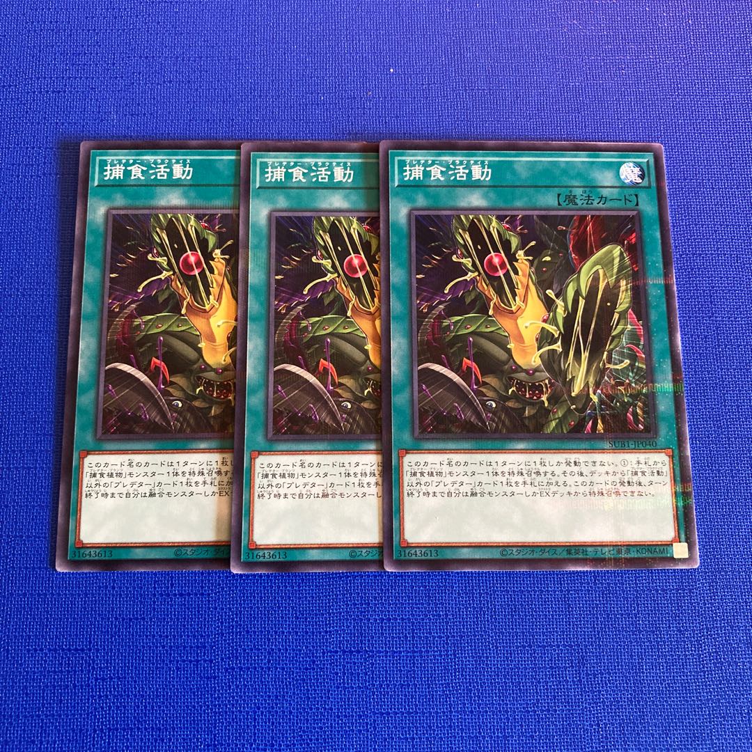 Predapractice parallel normal JP040