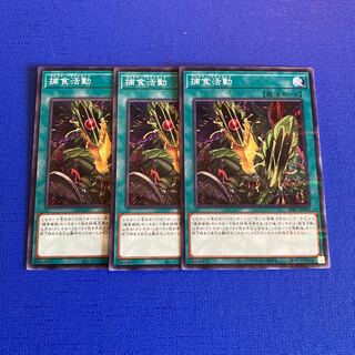 Predapractice parallel normal JP040