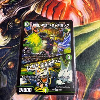 「根性」の頂 メチャデ塊ゾウ｜「大親分、ここにあり!」 VR 21/84