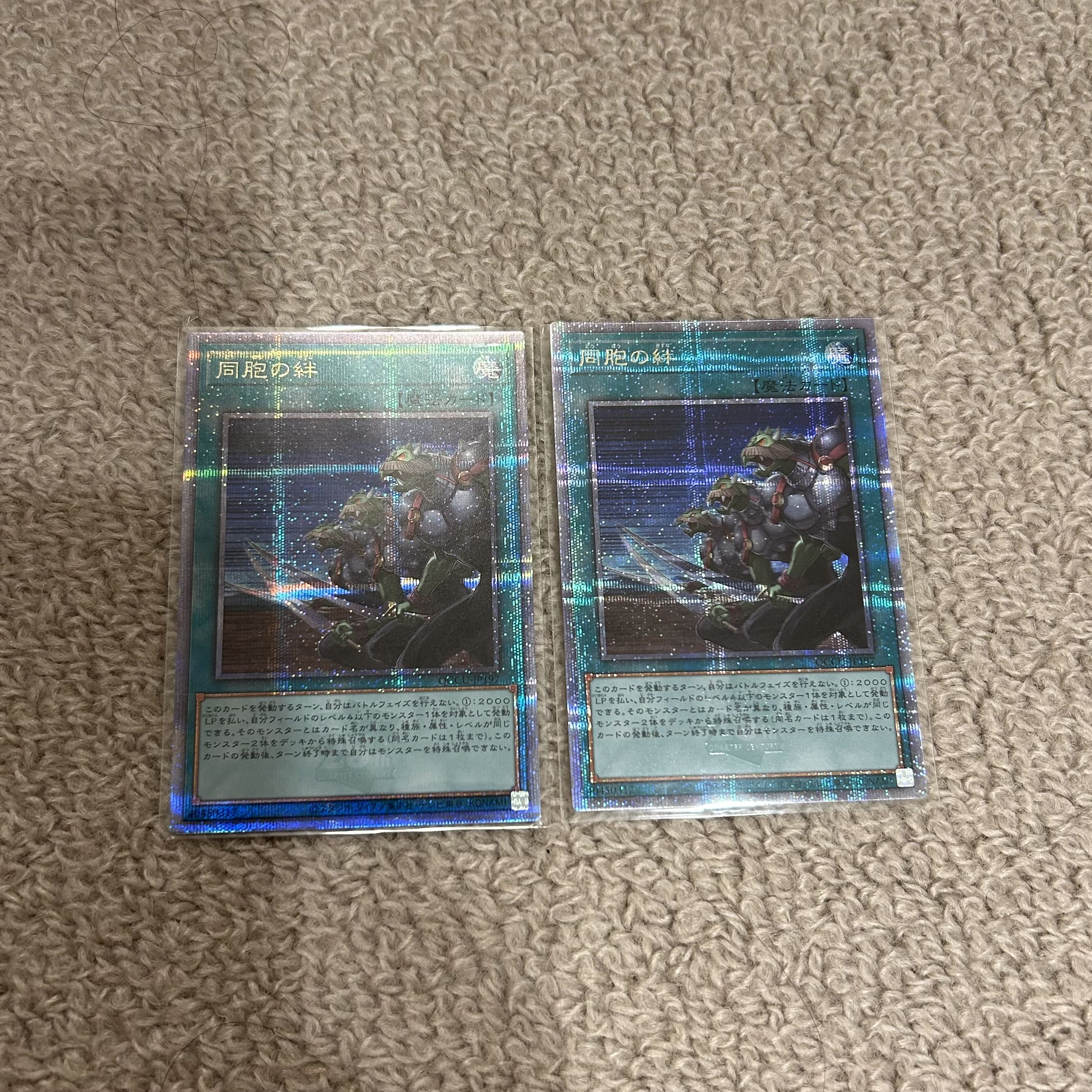 Set of 2 Ties of the Brethren QCSE, 25th Sikh QCCU-JP197