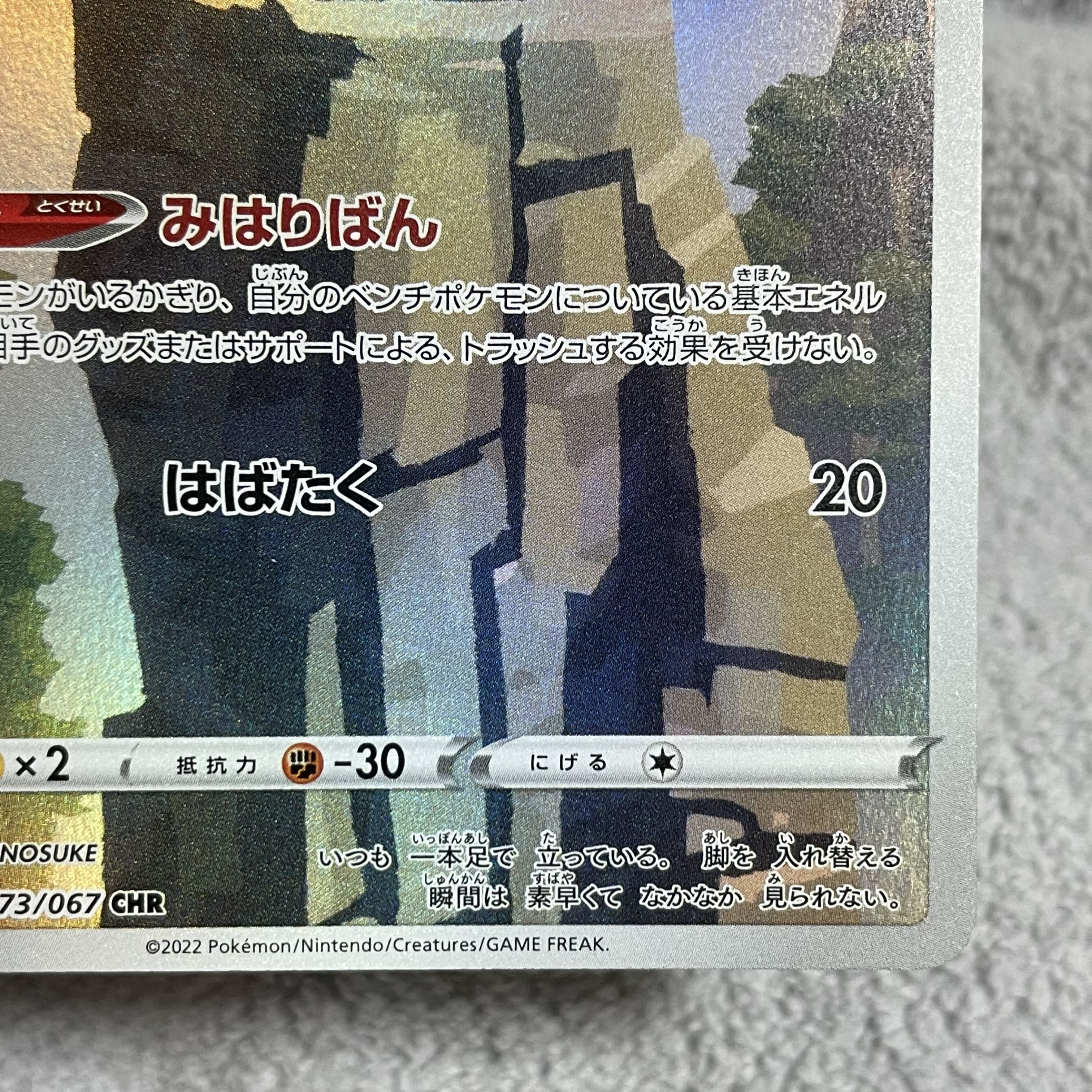 ホーホー CHR 073/067