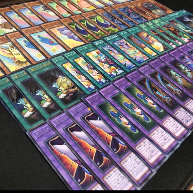 ファーニマル　デストーイ　デッキ　メイン40枚エクストラ15枚付き　