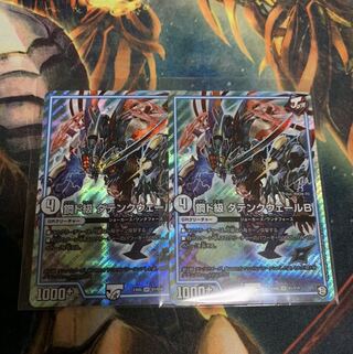 Metaldo Class Datenkweer B SR Set of 2