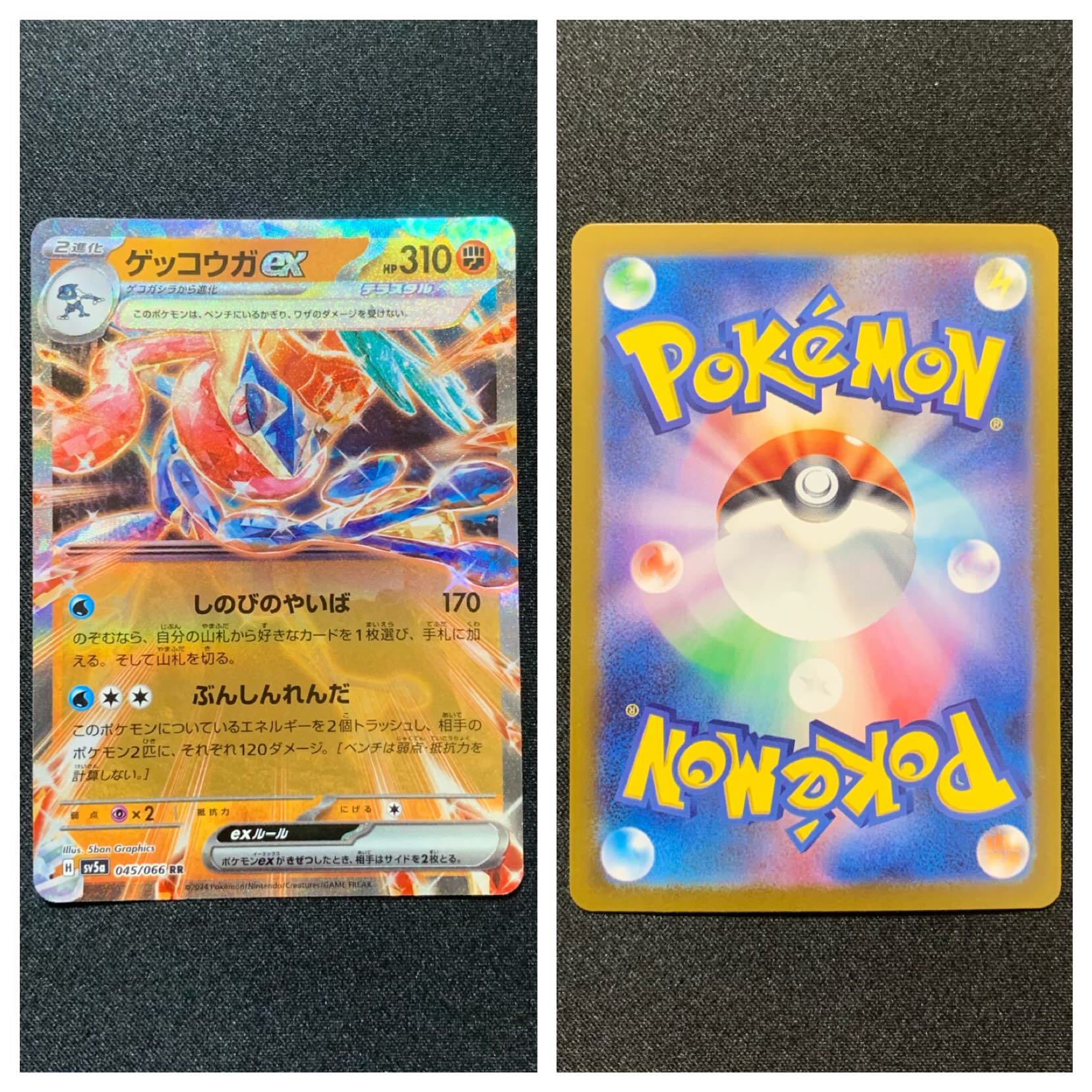 Pocketka [Greninjaex] RR