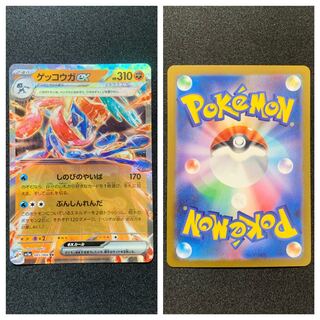 Pocketka [Greninjaex] RR