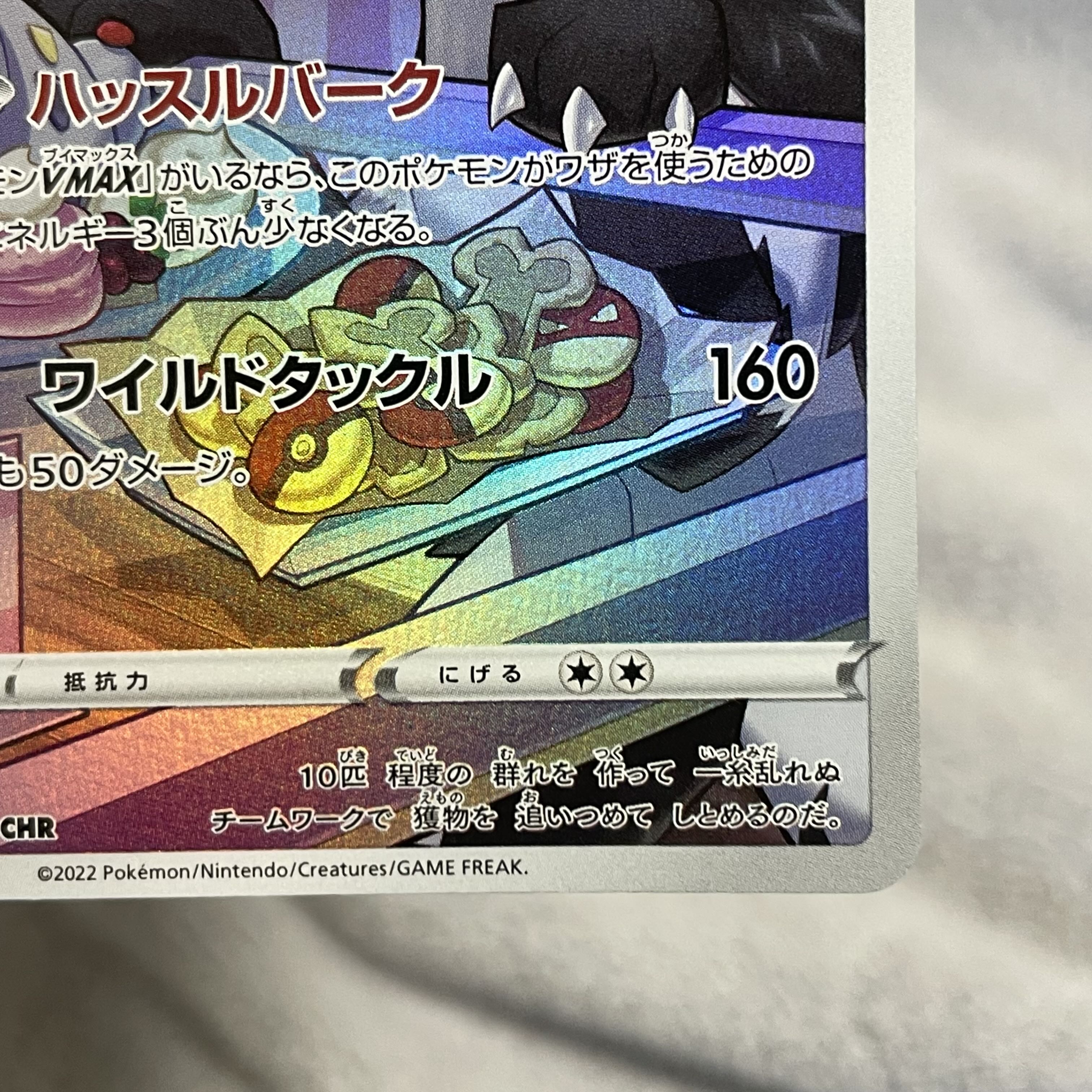 Mightyena CHR 072/067