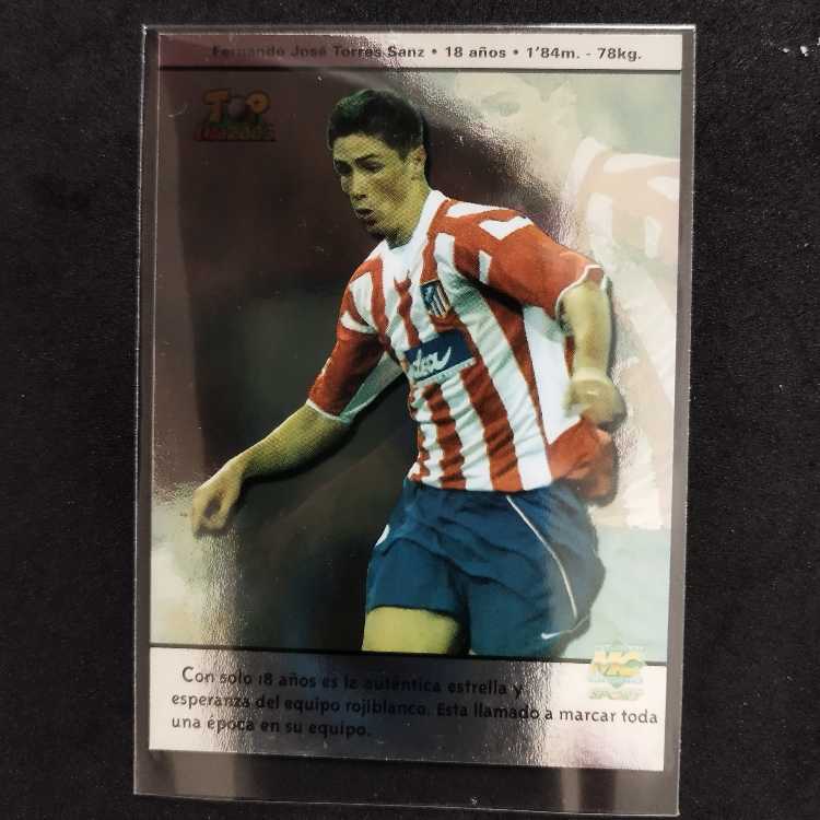 フェルナンドトーレス