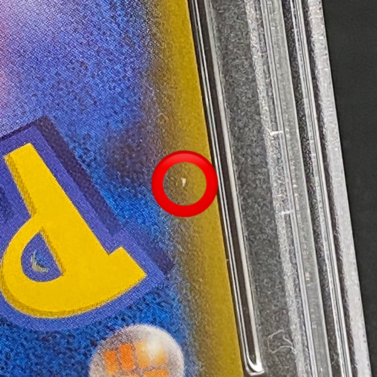 PSA10] Magikarp Gokko Pikachu PROMO 150/XY-P